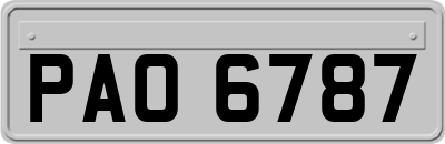 PAO6787