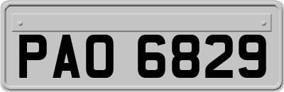 PAO6829