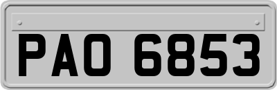 PAO6853