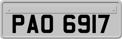 PAO6917