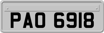 PAO6918