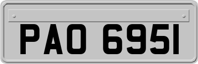 PAO6951