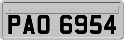 PAO6954