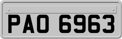 PAO6963