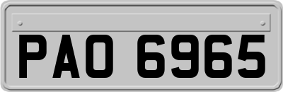 PAO6965