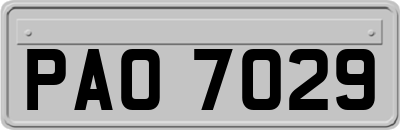 PAO7029
