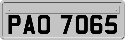 PAO7065