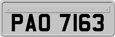 PAO7163