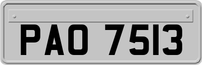 PAO7513