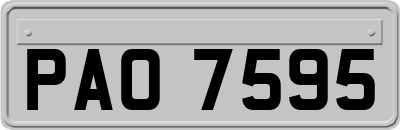 PAO7595