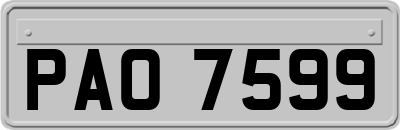 PAO7599