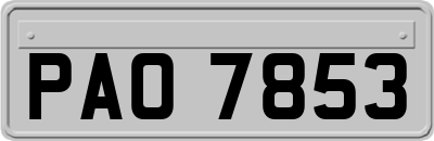 PAO7853