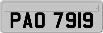 PAO7919