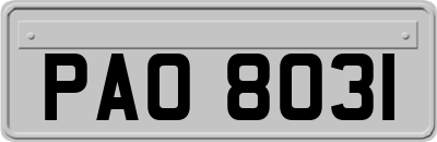 PAO8031