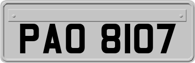 PAO8107