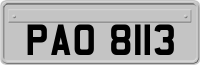 PAO8113