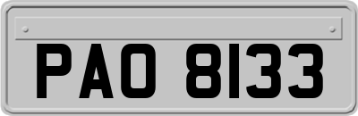 PAO8133