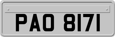 PAO8171