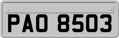 PAO8503