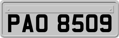 PAO8509