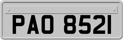 PAO8521