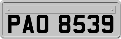 PAO8539
