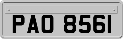 PAO8561