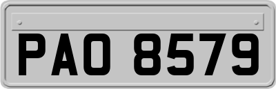 PAO8579