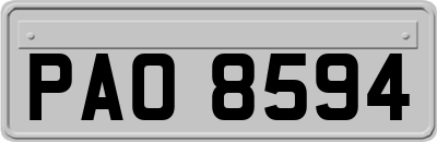 PAO8594