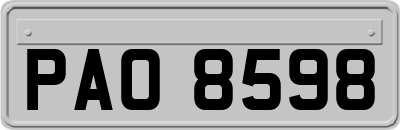 PAO8598