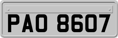 PAO8607