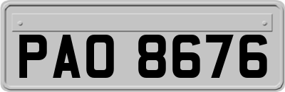 PAO8676