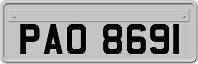 PAO8691