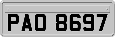 PAO8697