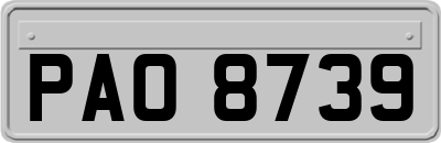 PAO8739