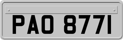 PAO8771
