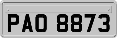 PAO8873
