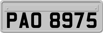 PAO8975