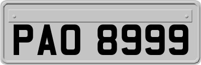 PAO8999
