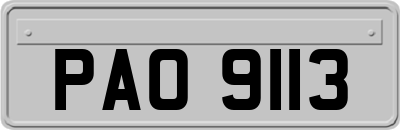 PAO9113
