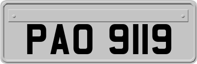 PAO9119