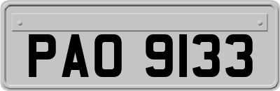 PAO9133
