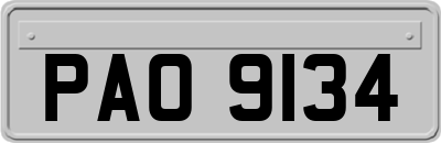 PAO9134
