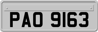 PAO9163