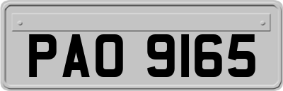 PAO9165