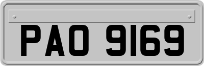 PAO9169