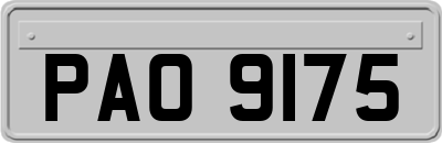 PAO9175