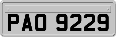 PAO9229