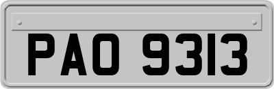 PAO9313