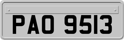 PAO9513